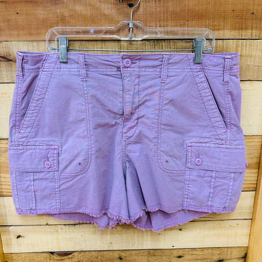 American Eagle Junior 16  jr Shorts