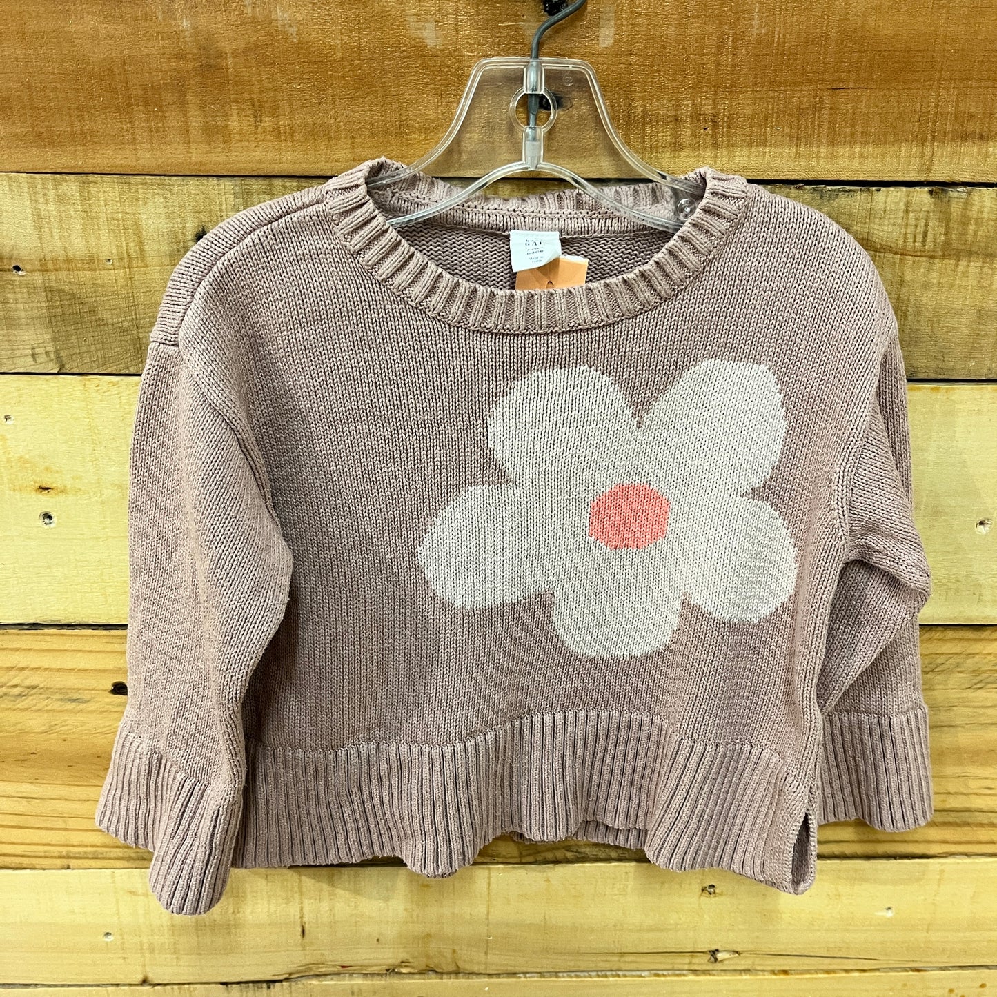 Baby Gap child size 3T Sweater