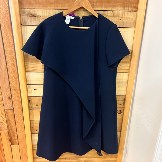 Oscar De La Renta size 12  Wmn L Dress